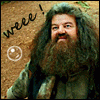 Hagrid